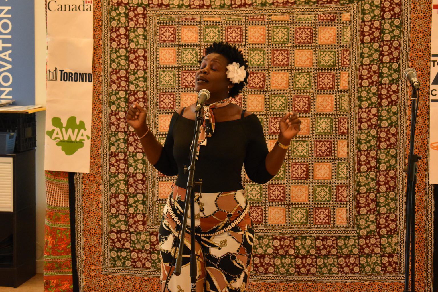 THe music festival show 2026